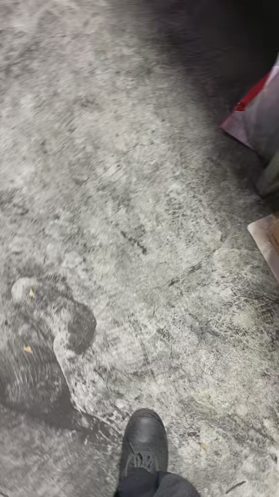 Bundle 2 Boxes Coco Safari – Premium Coconut Shell Charcoal